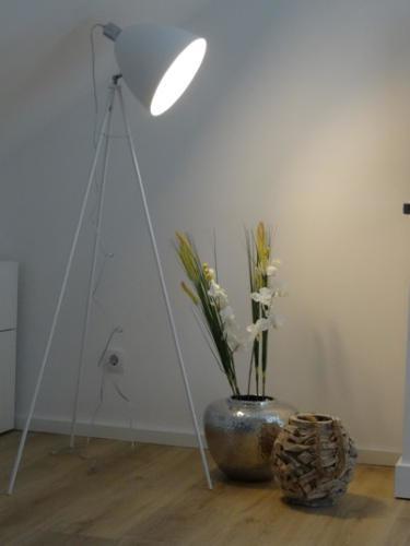 Ferienwohnung Rhein-Main Floersheim am Main Εξωτερικό φωτογραφία