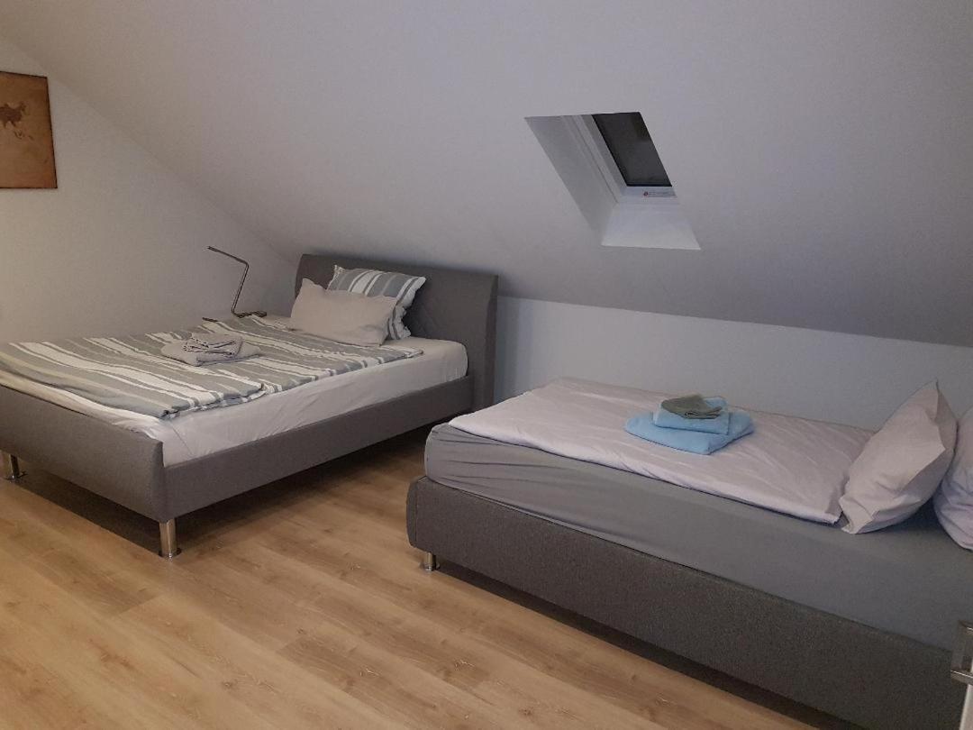 Ferienwohnung Rhein-Main Floersheim am Main Εξωτερικό φωτογραφία